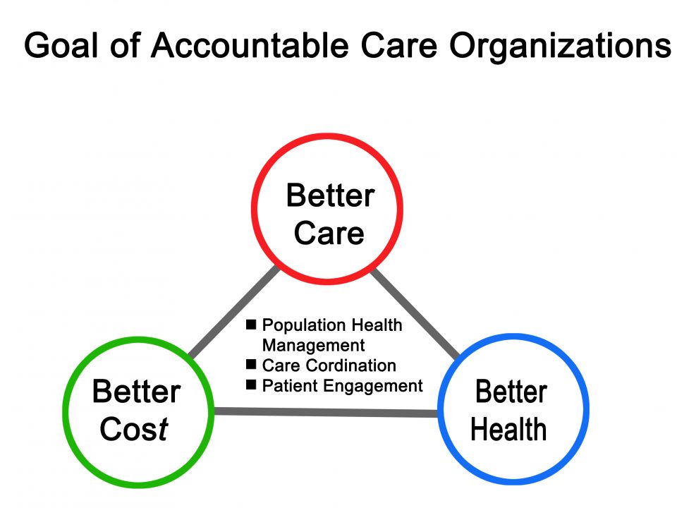 Accountable Care Organization ACO
